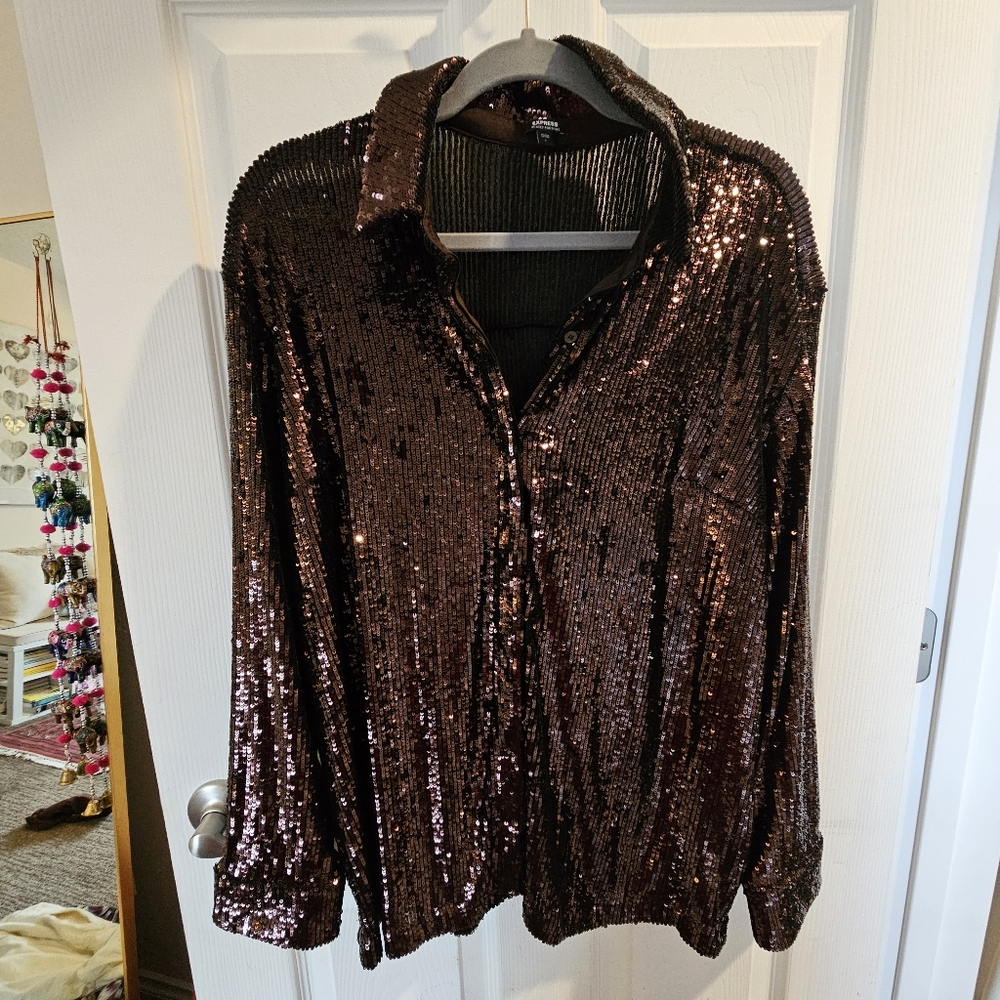 Express Sequin Portofiono Long Sleeve Blouse